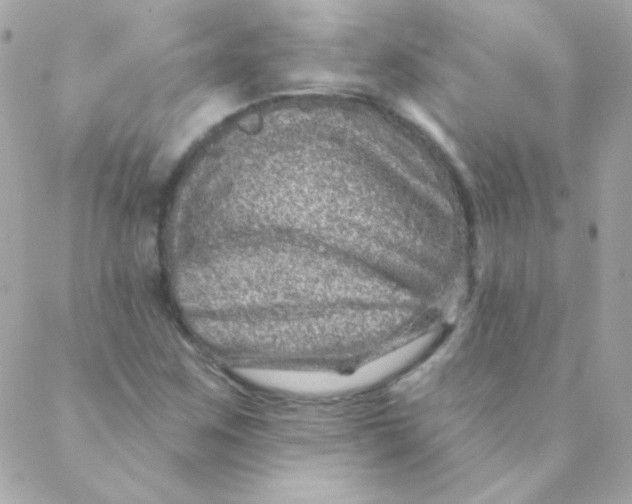 X0000088631259200706151908