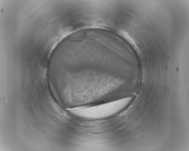 X0000088631260200706151908