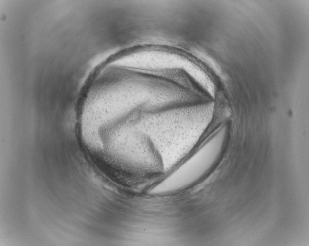 X0000088631264200706151908