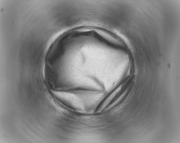 X0000088631272200706151908