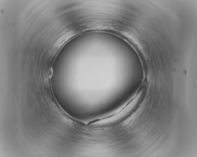 X0000088631273200706151908