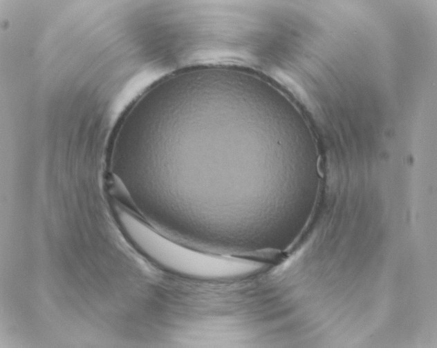 X0000088631277200706151908
