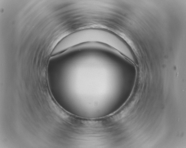 X0000088631281200706151908