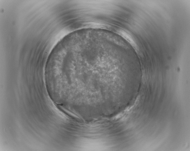 X0000088631283200706151908