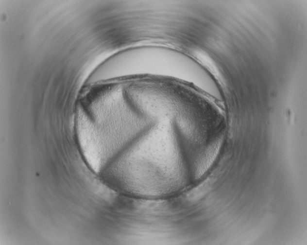 X0000088631284200706151908