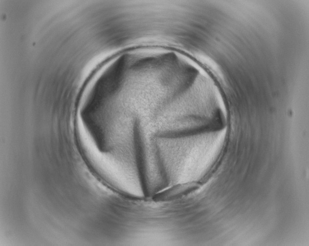 X0000088631288200706151908