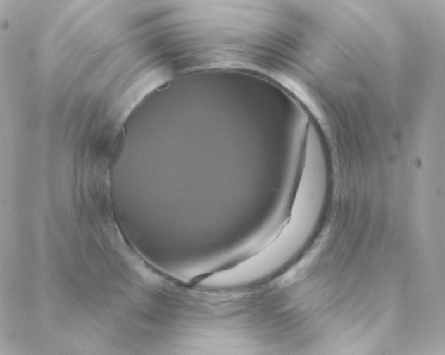 X0000088631289200706151908