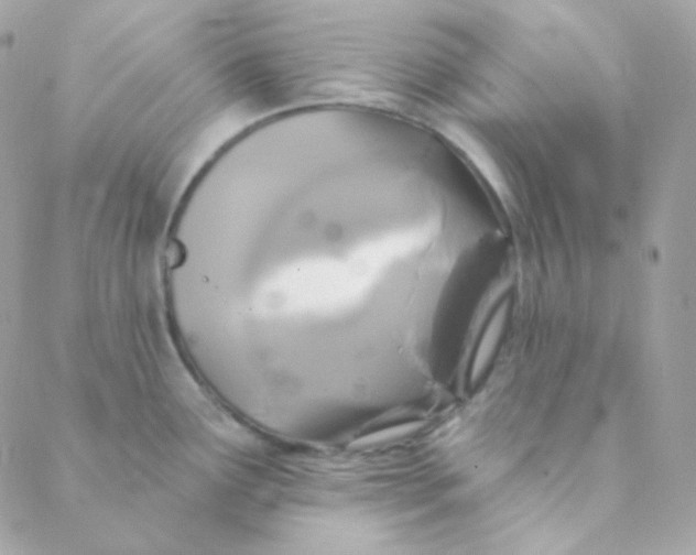 X0000088631291200706151908
