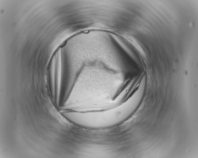 X0000088631292200706151908