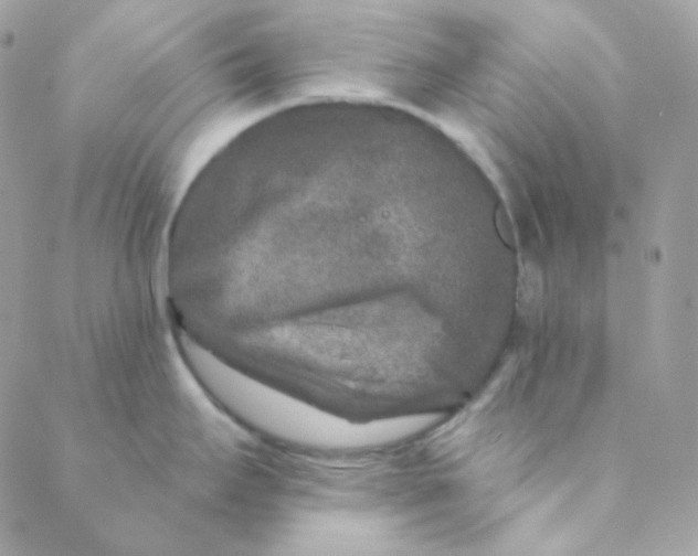 X0000088631295200706151908