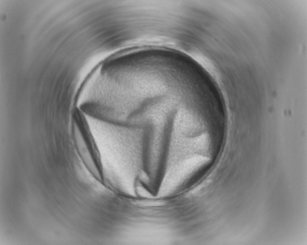 X0000088631296200706151908