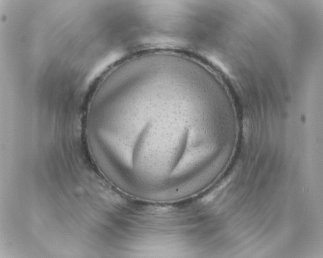 X0000088631309200706151907