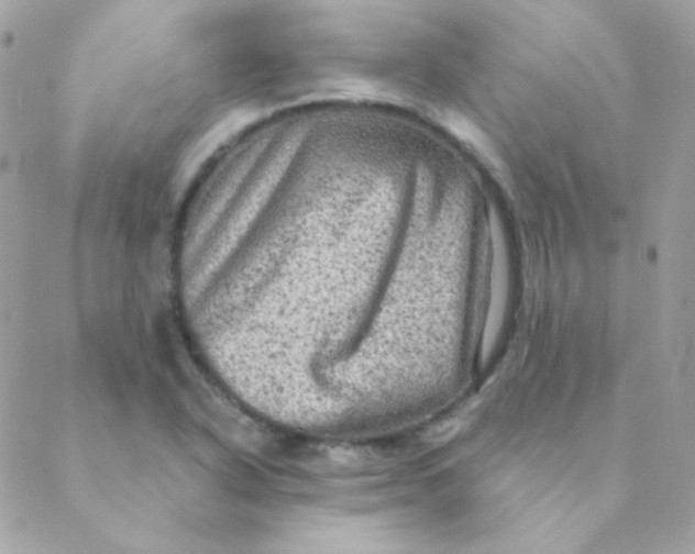 X0000088631318200706151907