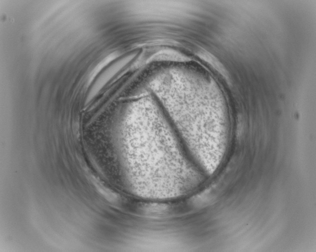X0000088631321200706151907