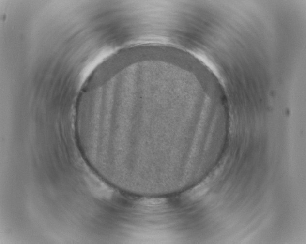 X0000088631325200706151907