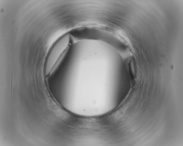 X0000088631328200706151907