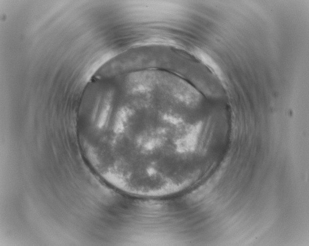 X0000088631329200706151907