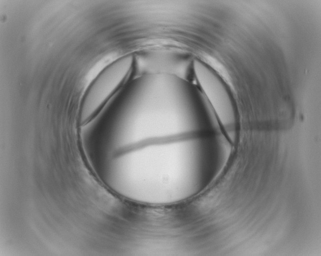 X0000088631330200706151907