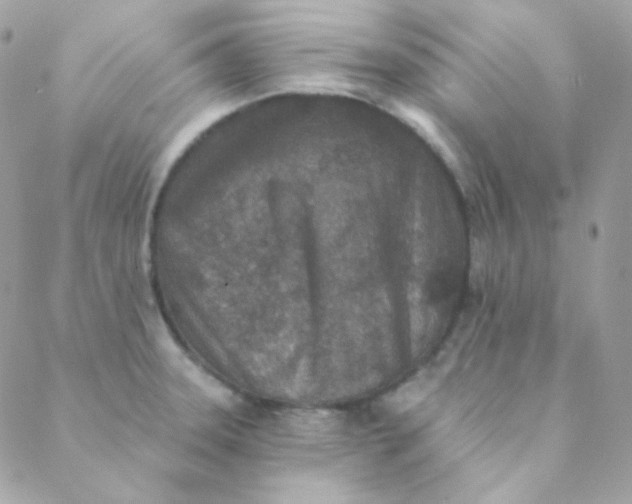 X0000088631331200706151907