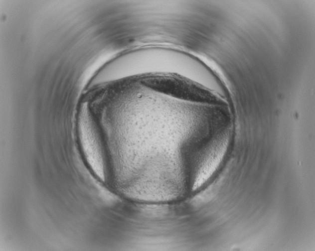 X0000088631333200706151907