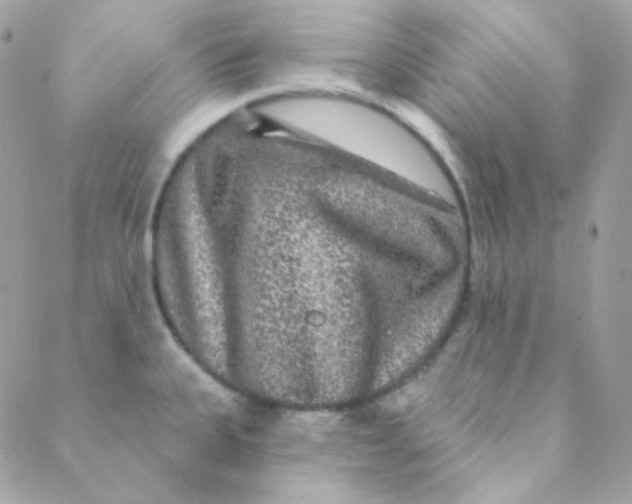 X0000088631335200706151907