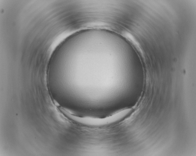 X0000088631336200706151907