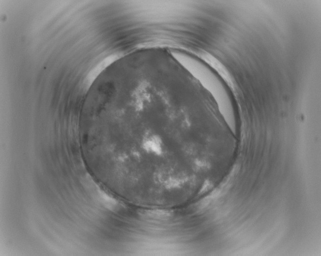 X0000088631337200706151907