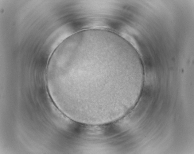 X0000088631338200706151908