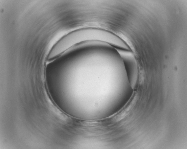 X0000088631342200706151908