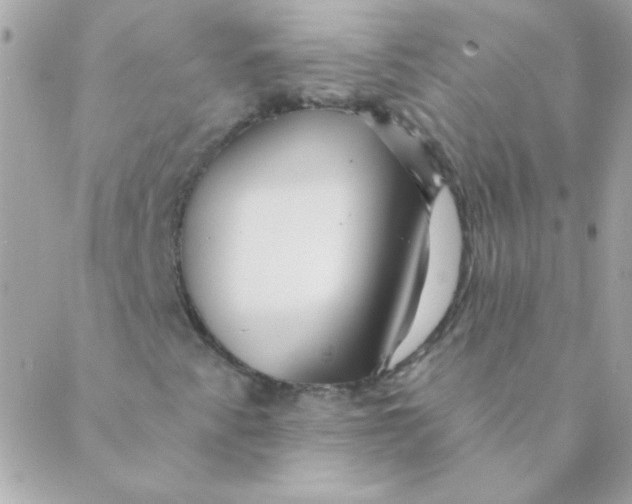 X0000088631345200706151907