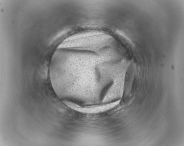 X0000088631350200706151907