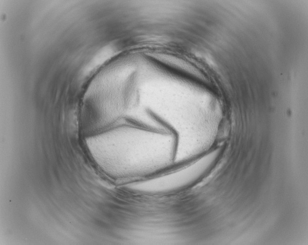 X0000088631354200706151907
