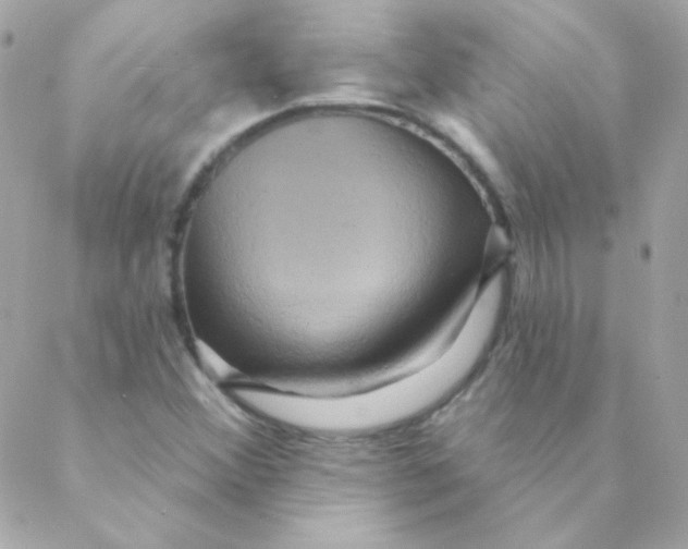 X0000088631356200706151907