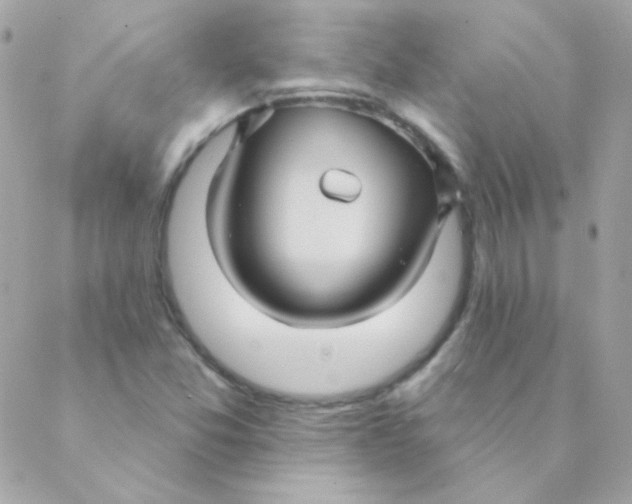 X0000088631357200706151907
