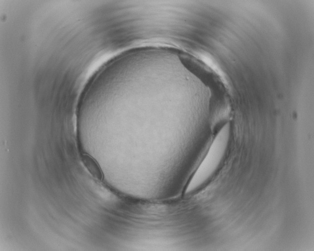 X0000088631372200706151906