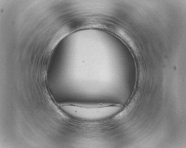 X0000088631377200706151906