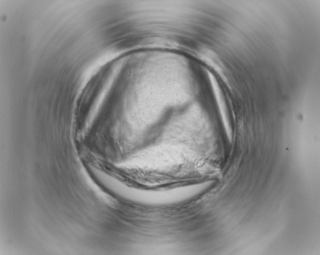 X0000088631379200706151906