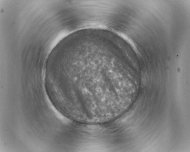 X0000088631383200706151906