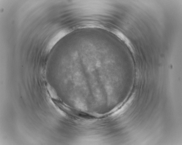 X0000088631385200706151906