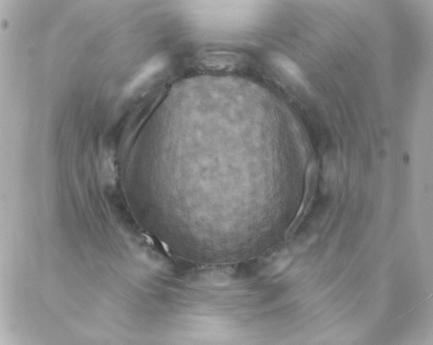 X0000088631394200706151905