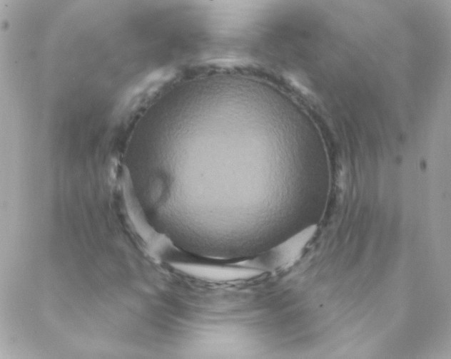 X0000088631398200706151905