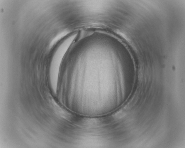 X0000088631402200706151905