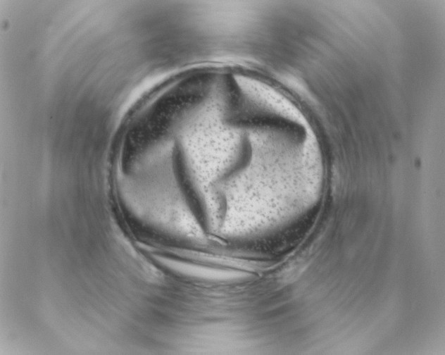 X0000088631412200706151906