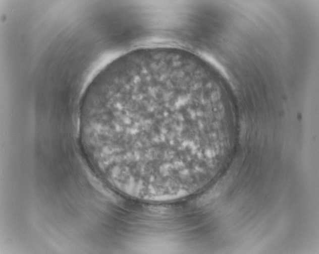 X0000088631413200706151906