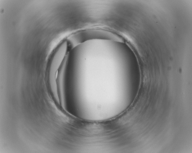 X0000088631414200706151906