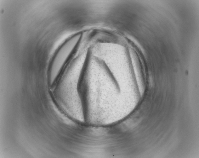 X0000088631416200706151906