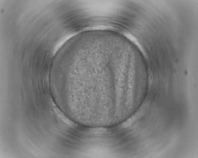 X0000088631417200706151906