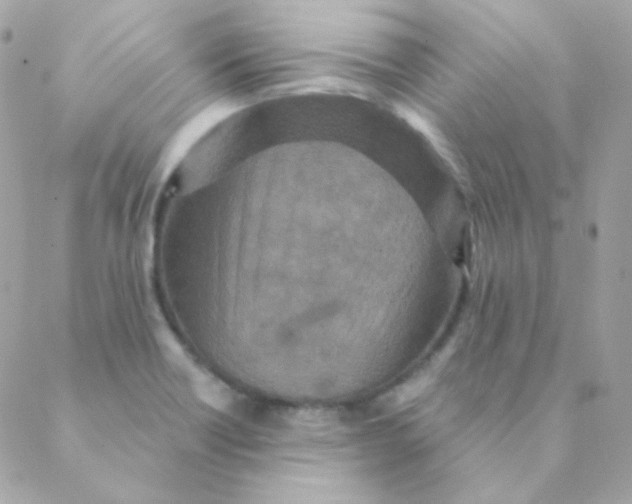 X0000088631418200706151906