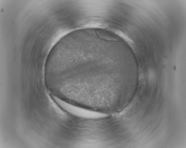 X0000088631423200706151906