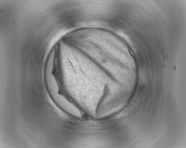 X0000088631424200706151906